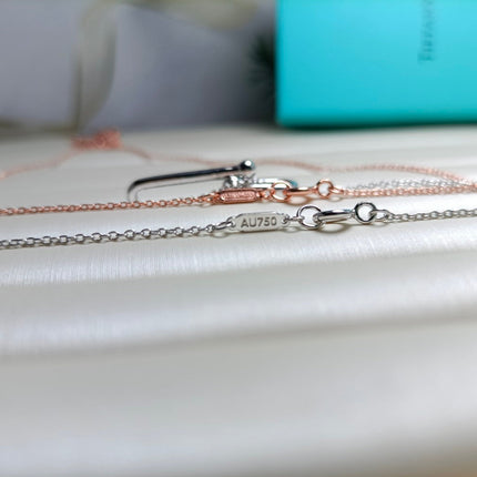 HARDWARE DROP DOUBLE LINK PEDANT NECKLACE