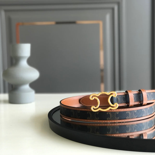 CELINE 25S BELT TRIOMPHE 25MM IN BROWN CALFSKIN AND CANVAS 559678