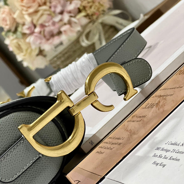 DIOR 26S SADDLE BAG 19 IN STONE GREY CALFSKIN