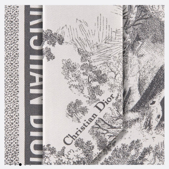 DIOR 26S SCARF 105CM IN SILK 311647