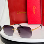 Purple/ Gold
