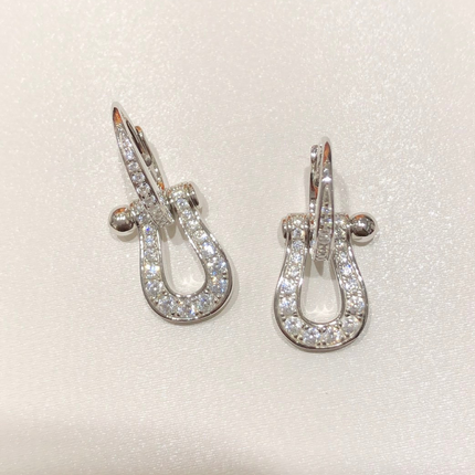 FORCE 10 EARRINGS