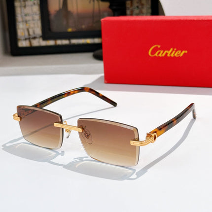 CARTIER 26S RIMLESS RECTANGULAR FRAME IN METAL 441538