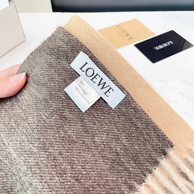 LOEWE 26S SCARF 190 IN CASHMERE 169920