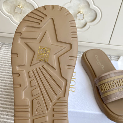 DIOR 26S DWAY SLIDES IN BROWN RUBBER SOLE