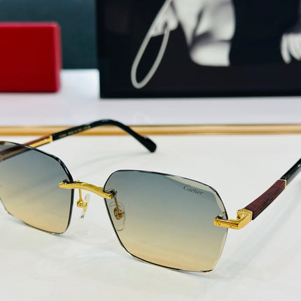 SIGNATURE C DE RECTANGULAR FRAME SUNGLASSES CT0483S IN METAL AND WOODEN