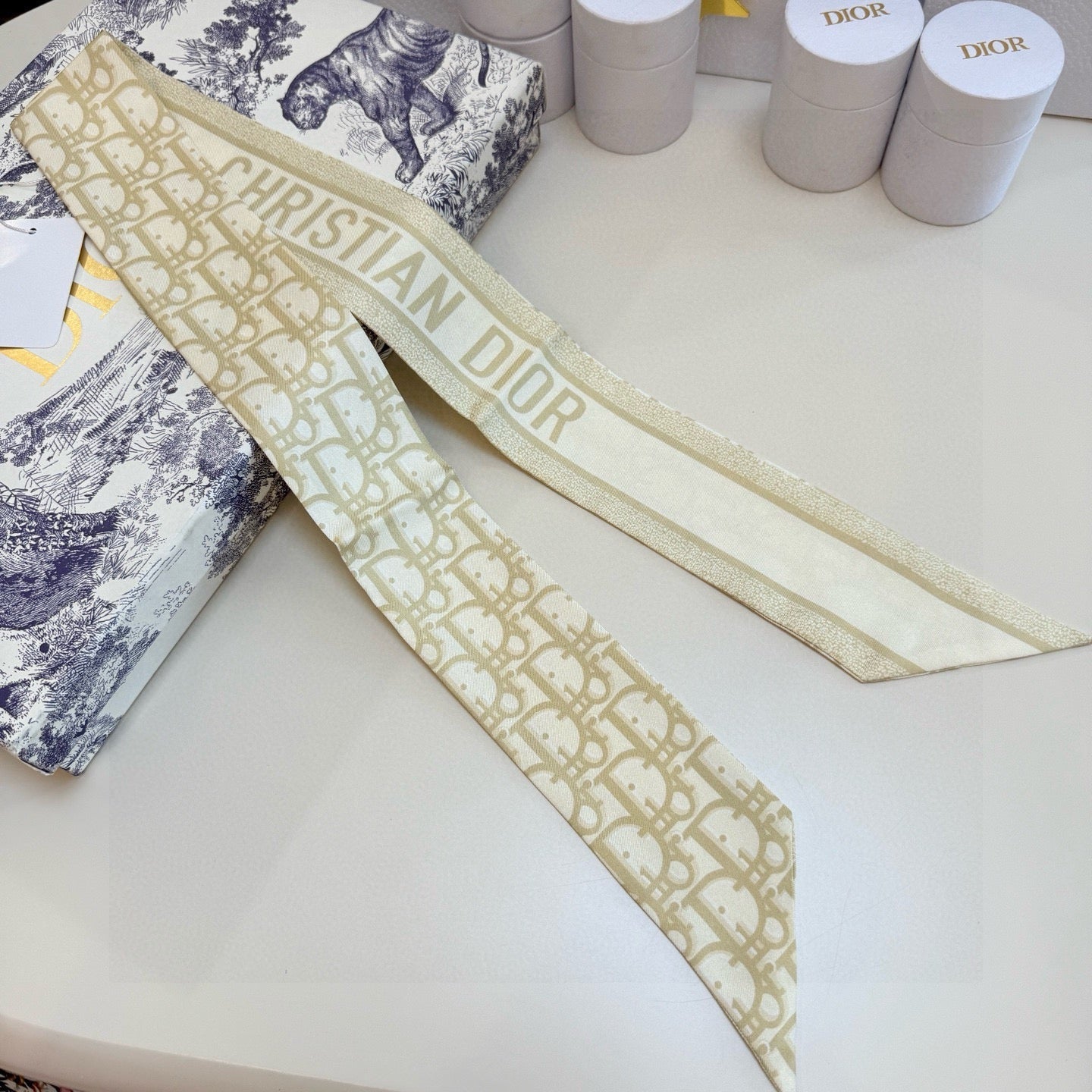 DIOR 26S SCARF 105CM IN SILK 302917