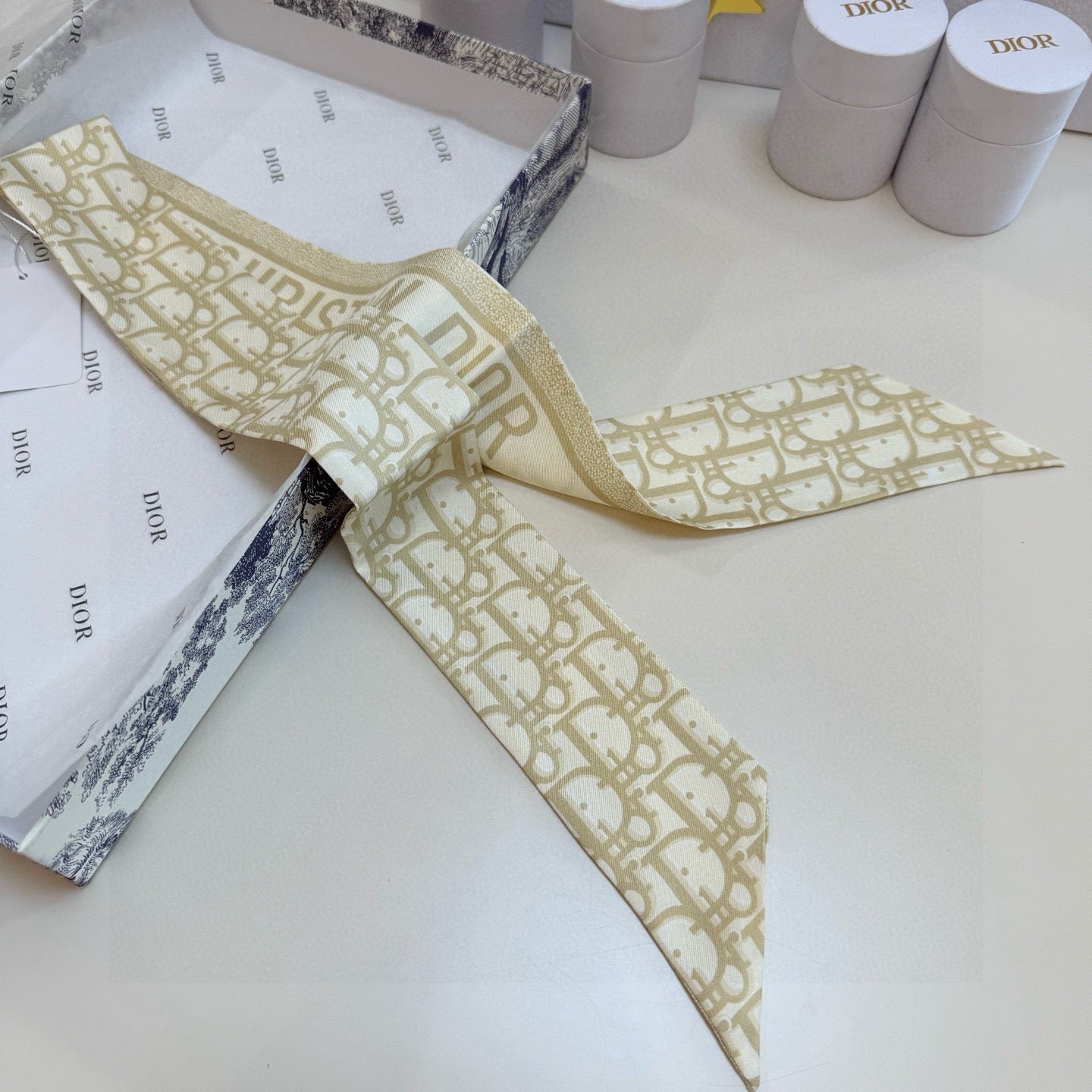 DIOR 26S SCARF 105CM IN SILK 302917
