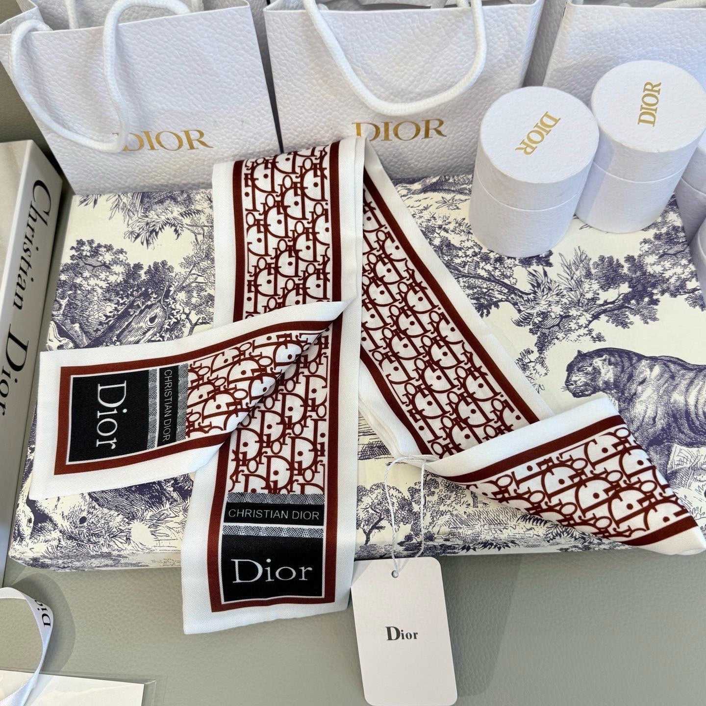 DIOR 26S SCARF 100CM IN SILK 316476