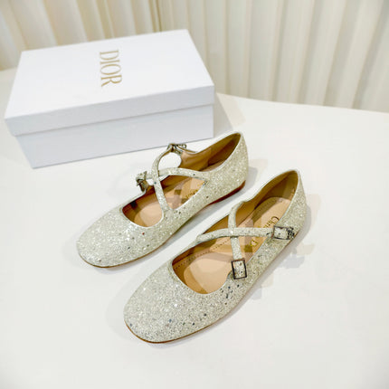 DIOR 26S MARY JANE FLATS IN SILVER SEQUIN EMBROIDERED FABRIC