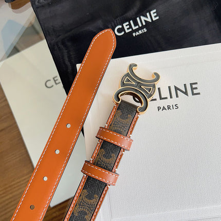 CELINE 26S BELT 25 MM IN BLACK AND BROWN CALFSKIN 669834