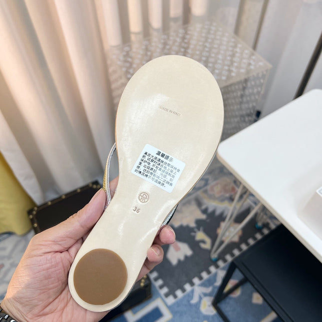 THE ROW 26S THONG SANDALS IN SILVER CALFSKIN