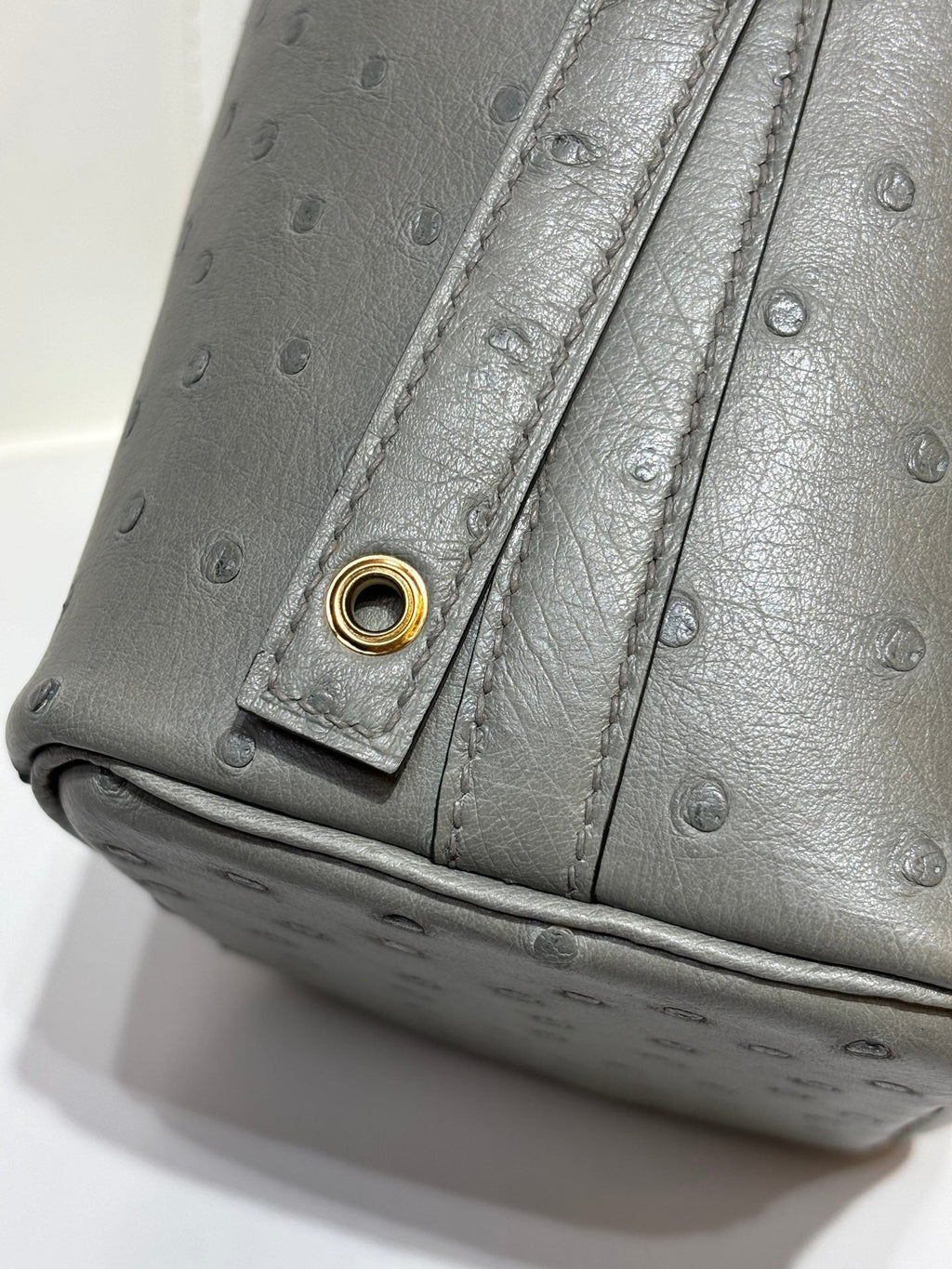 HM 25S PICOTIN LOCK 14 CM IN GREY OSTRICH WITH GOLD HARDWARE