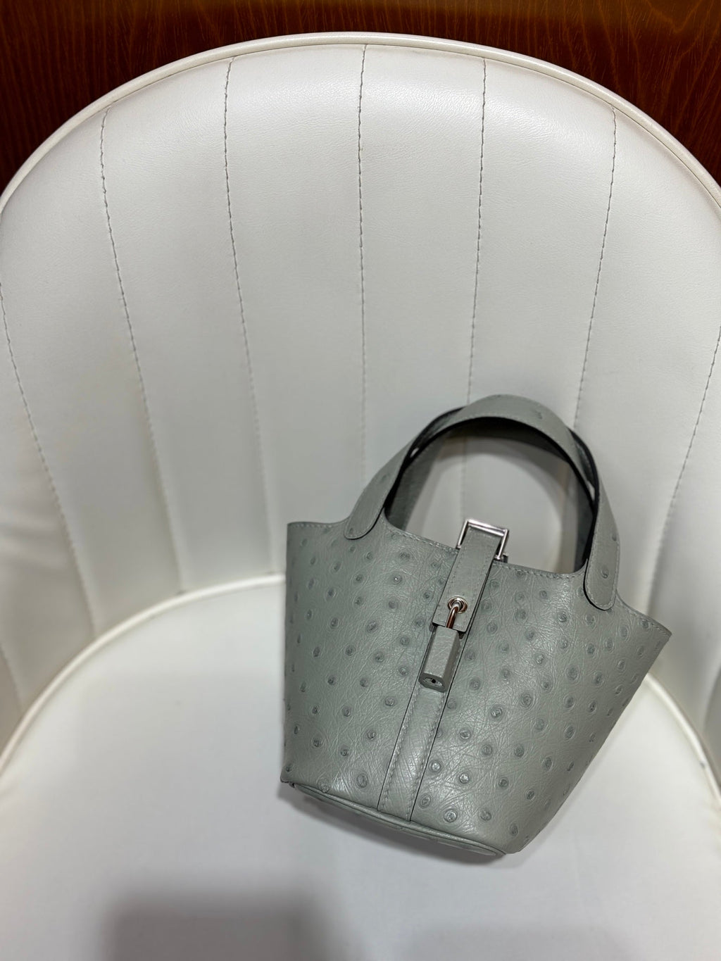 HM 25S PICOTIN LOCK 14 CM IN GREY OSTRICH WITH SILVER HARDWARE