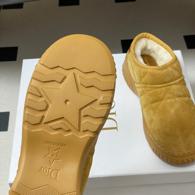 DIOR 25S FROST ANKLE BOOTS IN GOLDEN BROWN SUEDE
