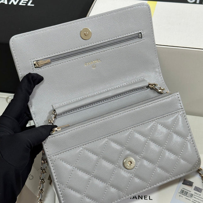 STRASS WOC ENTRUPY BAG 19 IN SPANISH GREY CALFSKIN GOLD HARDWARE
