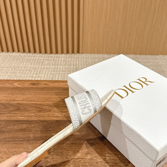 DIOR 26S SLIDE SANDALS IN GREY BUTTERFLY PRINT LOGO