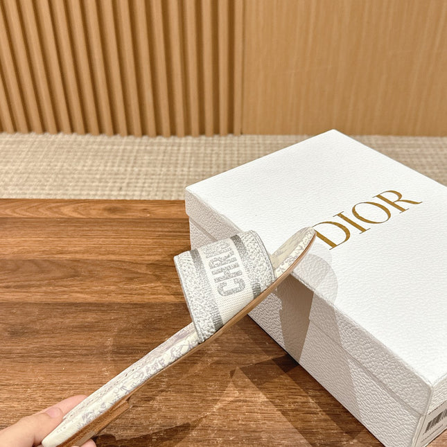 DIOR 26S SLIDE SANDALS IN GREY TOILE DE JOUY LOGO