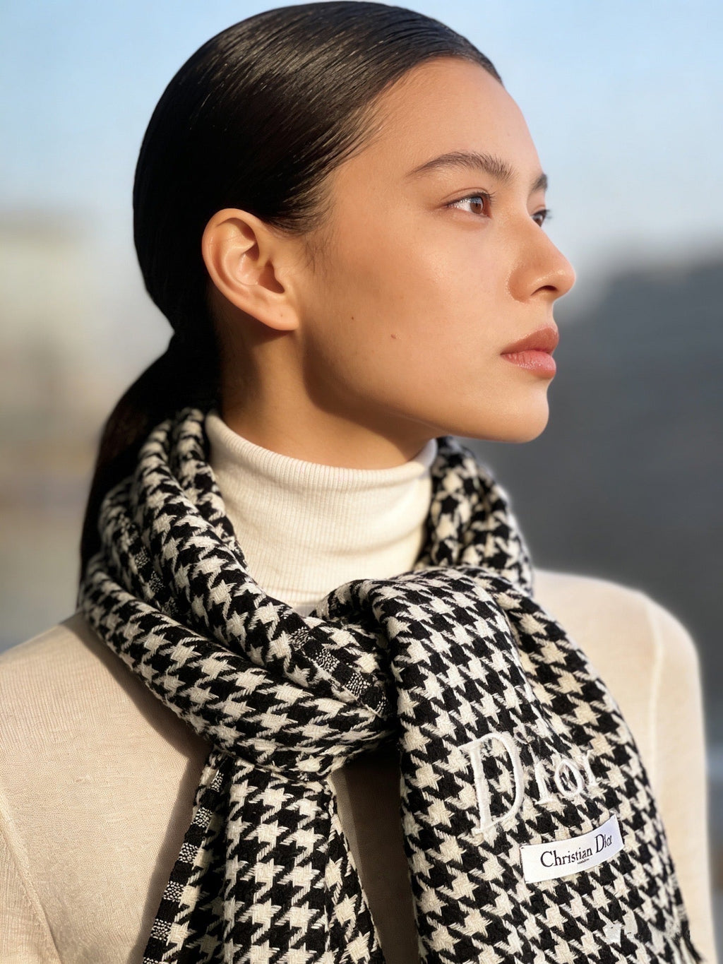 DIOR 26S SCARF 200CM IN CASHMERE 163805