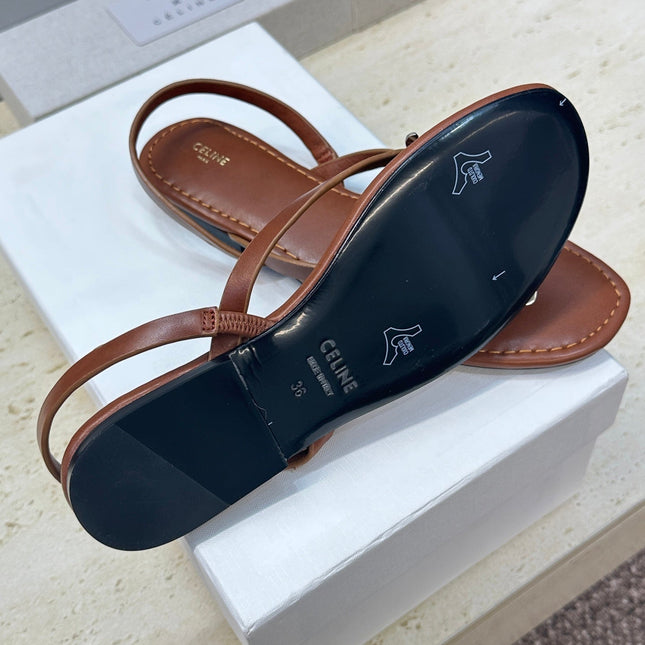 CELINE 26S THONG SANDALS IN BROWN CALFSKIN
